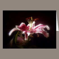 stargazer lilies #15 cards