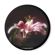 stargazer lilies #15 fridge magnets
