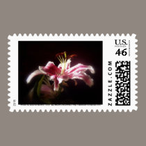 stargazer lilies #15 stamps