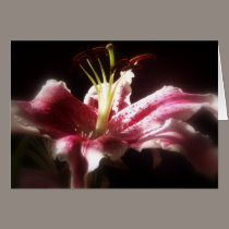 stargazer lilies #16 cards
