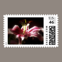 stargazer lilies #16 stamps