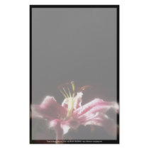 stargazer lilies #16 stationery