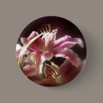 stargazer lilies #17 buttons
