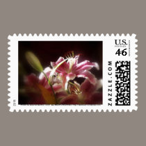 stargazer lilies #17 stamps
