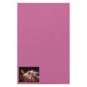 stargazer lilies #17 stationery