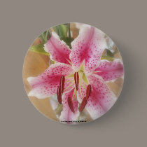 stargazer lilies #1 buttons