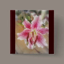 stargazer lilies #1 buttons