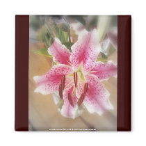 stargazer lilies #1 magnets