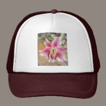 stargazer lilies #1 hats