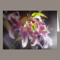 Stargazer Lilies #20 cards