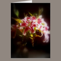 stargazer lilies #31 cards