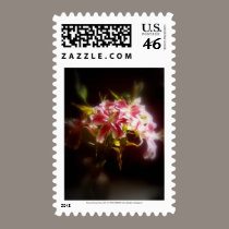 stargazer lilies #31 stamps