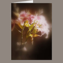 stargazer lilies #32 cards