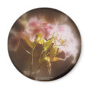 stargazer lilies #32 magnet