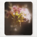 stargazer lilies #32 mousepad