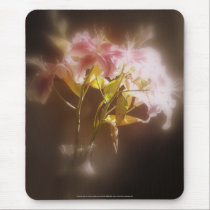 stargazer lilies #32 mousepads