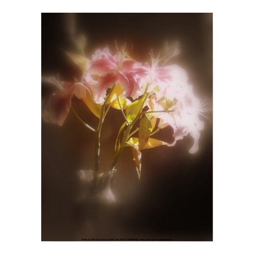 stargazer lilies #32 print