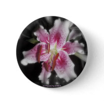 stargazer lilies #3 pinback buttons