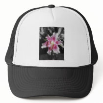 stargazer lilies #3 hat