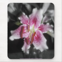 stargazer lilies #3 mousepads