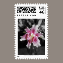 stargazer lilies #3 stamps