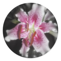stargazer lilies #3 stickers by dlmtleArt stargazer lilies #3 stickers