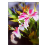 stargazer lilies #5 cards
