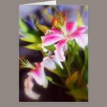 stargazer lilies #5 cards