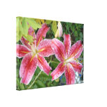 Stargazer Lilies Canvas Print