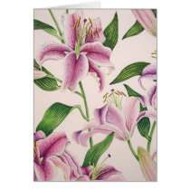 Stargazer Lilies cards by joeyartist Stargazer Lilies cards