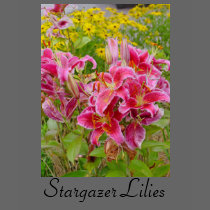 Stargazer Lilies Flowers T-shirt
