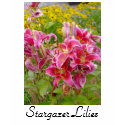 Stargazer Lilies Flowers T-shirt
