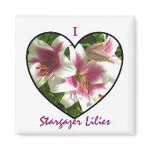 Stargazer Lilies Magnet