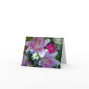 Stargazer Lilies Notecard