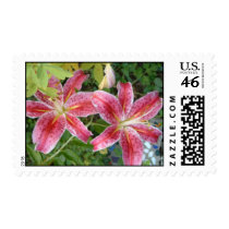 Stargazer Lilies Stamps