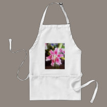 stargazer lilles #2 aprons