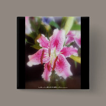 stargazer lilles #2 buttons
