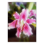 stargazer lilles #2 cards