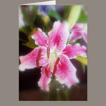 stargazer lilles #2 cards