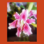 Stargazer+lilies+in+a+tall+urn+style+vase