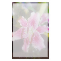 stargazer lilles #2 stationery