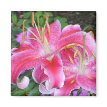 Stargazer Lilly Magnet