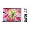Stargazer lilly stamp by jevensen28 Stargazer lilly stamp