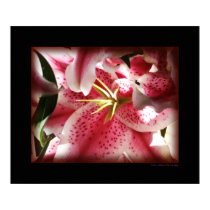 Stargazer Lily 0101 Canvas posters
