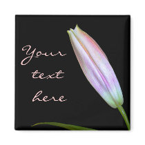 Stargazer Lily Bud magnets