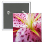 Stargazer Lily Button
