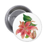 Stargazer Lily Buttons