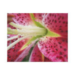 Stargazer Lily Gallery Wrapped Canvas