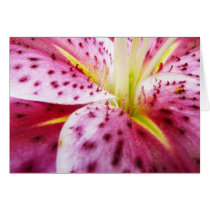Stargazer Lily Card