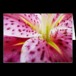 Stargazer Lily Card
